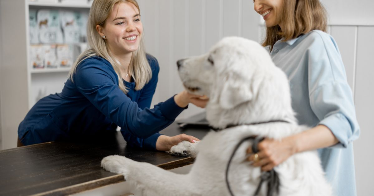 Veterinary receptionist leaning over the counter petting a large white dog with another female with arm around dog, holding leash