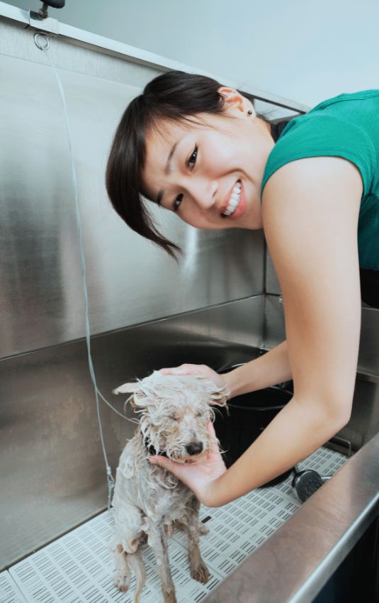 smiling woman gives little dog a bath