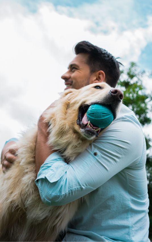 Smiling man holds a Golden Retriever with a blue ball in its mouth